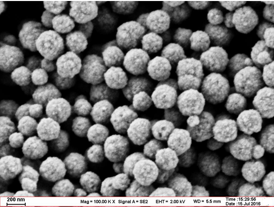 鏈霉親和素磁珠Streptavidin Magnetic Particles