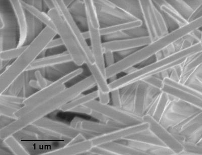 進口氧化鉬納米線Molybdenum Oxide Nanowires