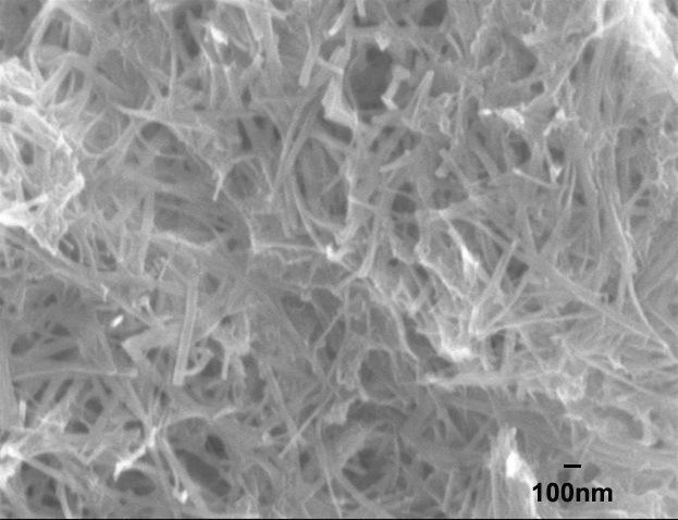 進口硅納米線Silica Nanowires A10