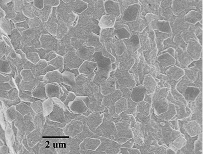 進口氧化鋁納米片Alumina Nanoplates A100