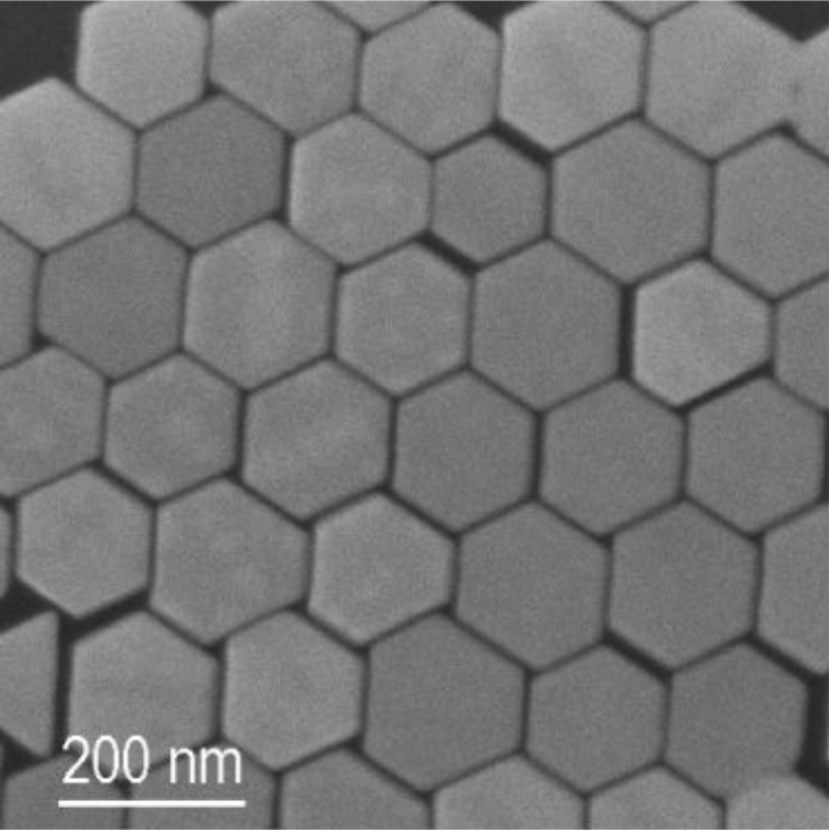 六邊形金納米顆粒