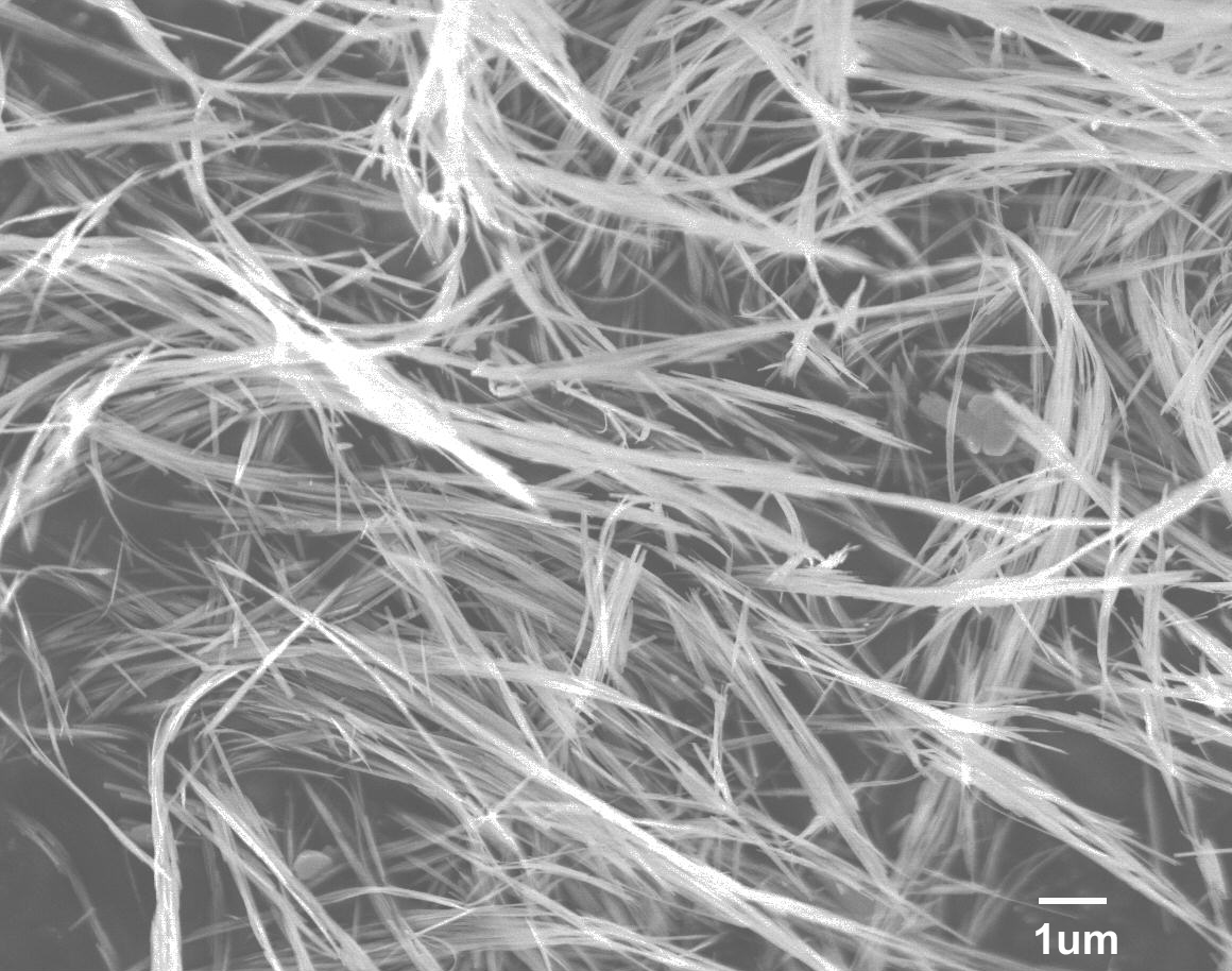 進(jìn)口氫氧化鐵納米線粉末Iron Oxyhydroxide Nanowires A50